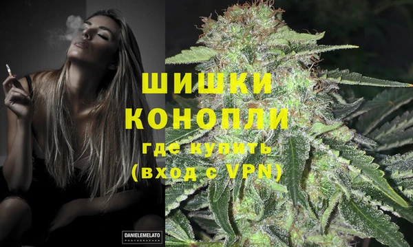 сатива Белоозёрский