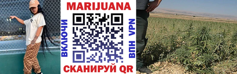 Купить где  Гаврилов Посад  Канабис SATIVA & INDICA 